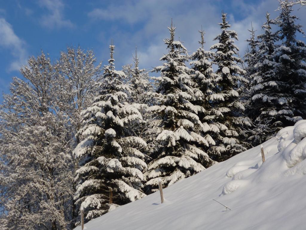 Appartement Ripper Saalbach-Hinterglemm Exteriér fotografie
