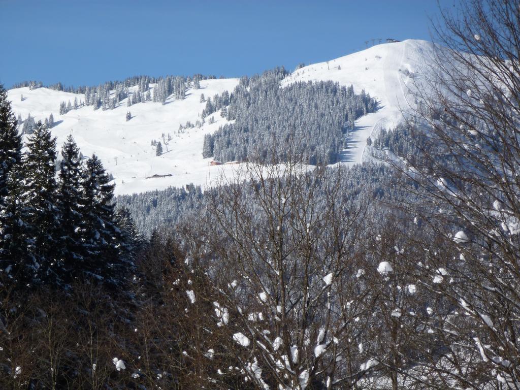 Appartement Ripper Saalbach-Hinterglemm Exteriér fotografie